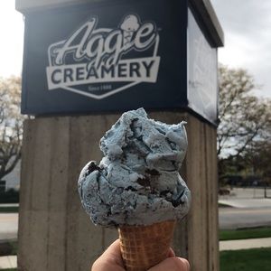 Meet your Posher, Neve